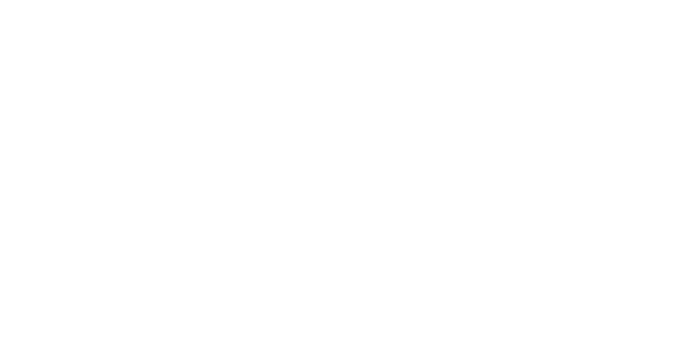 Freedom9 Logo